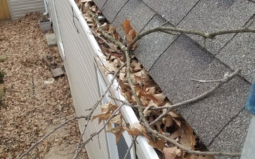 The Ultimate Guide to Properly Maintain Your Gutters in Louisville, Kentucky – Cardinal Gutters
