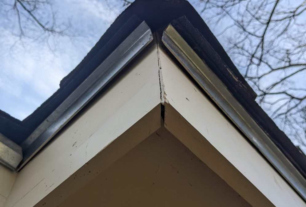 The Importance of Gutter Drip Edges: Insights from Cardinal Gutters in Louisville, KY