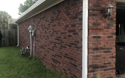 The Role of Gutters in Protecting Your Home’s Foundation | Cardinal Gutters – Louisville, Kentucky